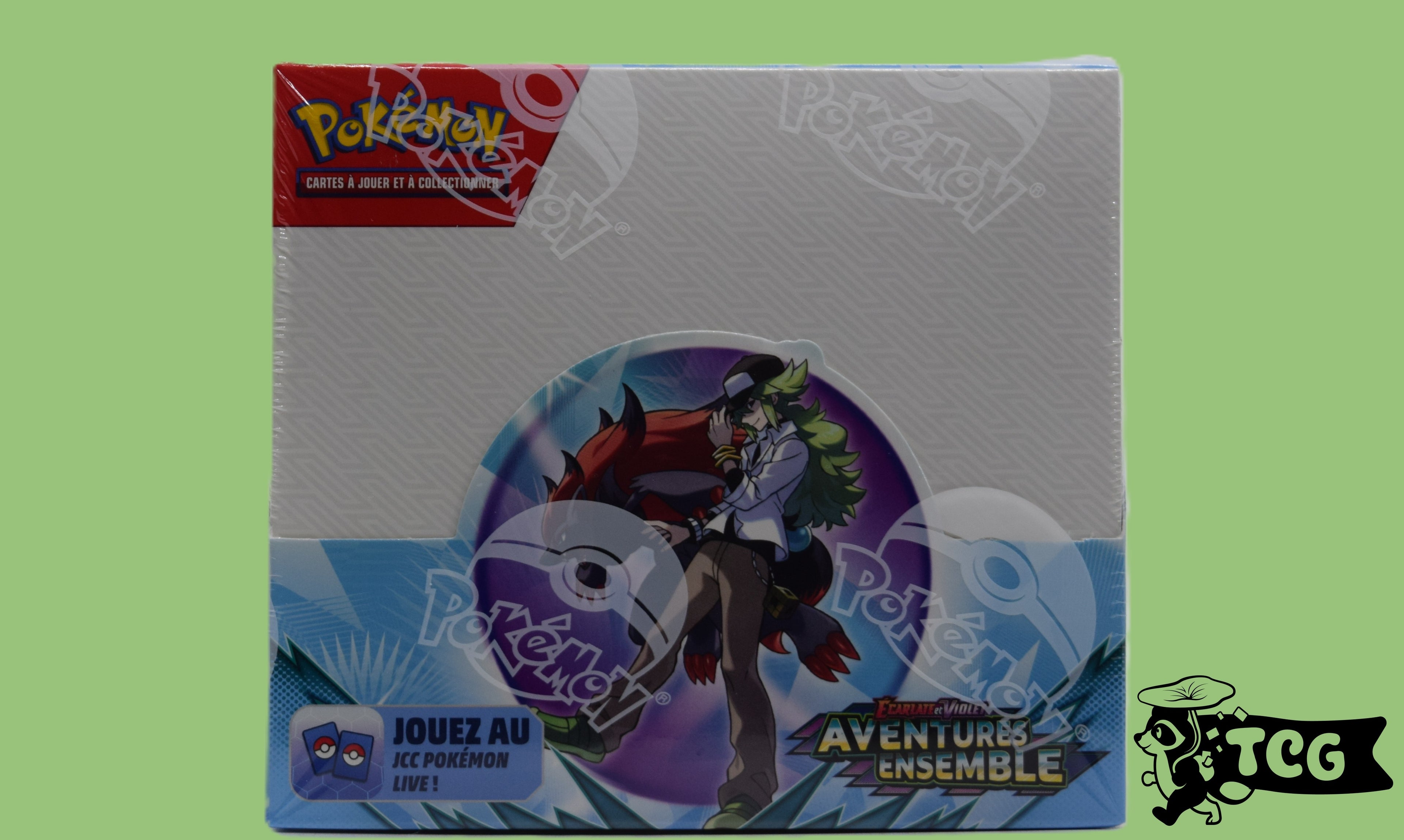 Display Aventures Ensemble EV9 FR