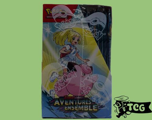 Display Aventures Ensemble EV9 FR